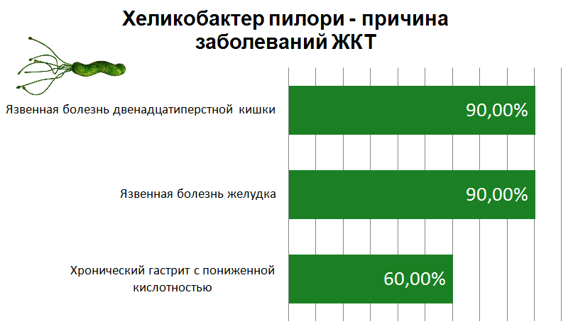 % случаев развития заболеваний, связанных с бактерией Helicobacter Pylori